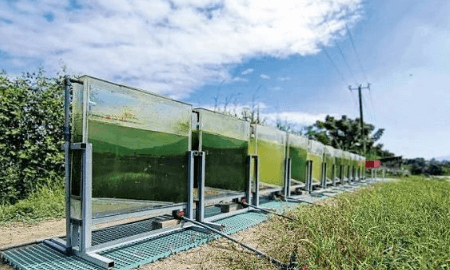 How a Photobioreactor System Supports Modern Algae Production